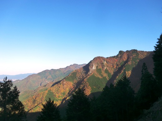 d0221319_1015539.jpg