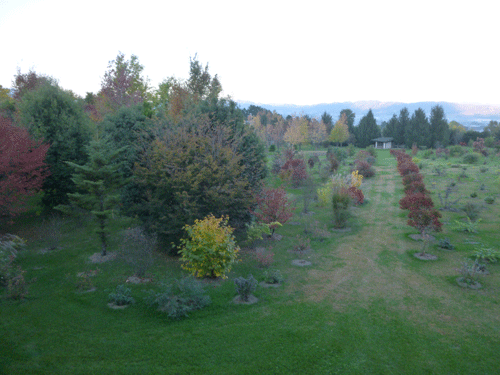 e0312121_21543040.gif
