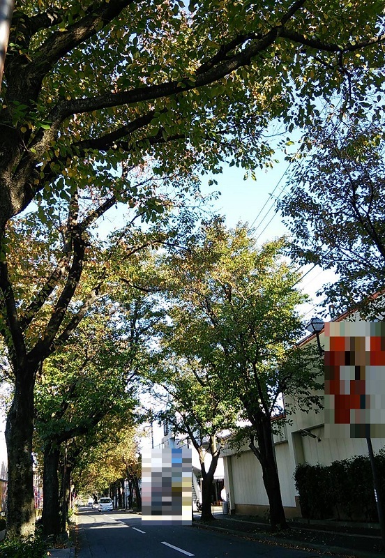 b0199924_1981094.jpg