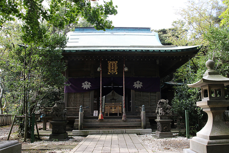 d0054625_091288.jpg