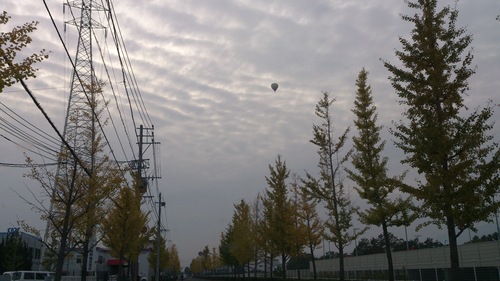e0305733_543256.jpg