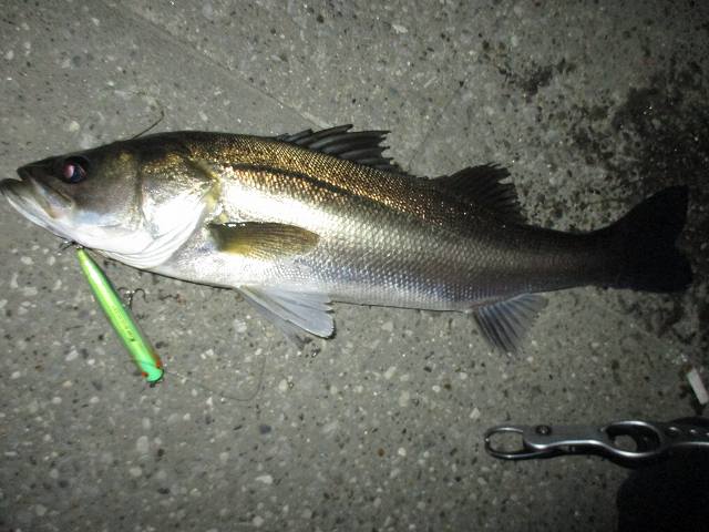 f0321433_00020959.jpg
