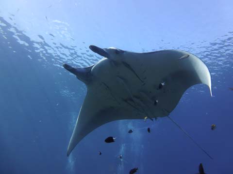 f0014842_18304716.jpg