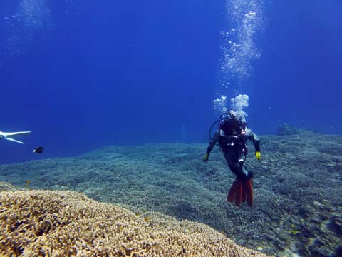 f0014842_1839856.jpg