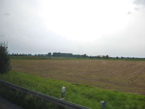 b0197445_11403740.jpg