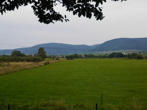 b0197445_11412235.jpg