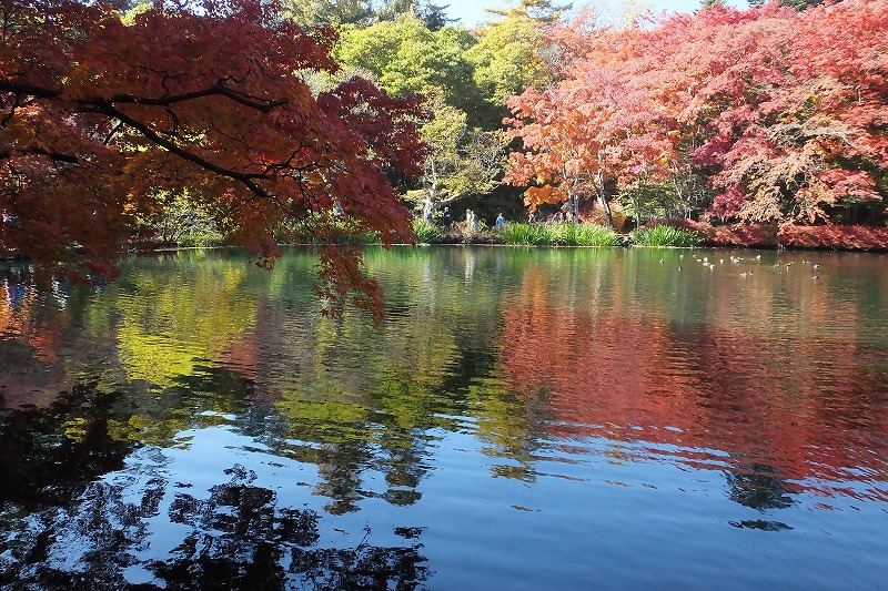 b0236251_14255730.jpg