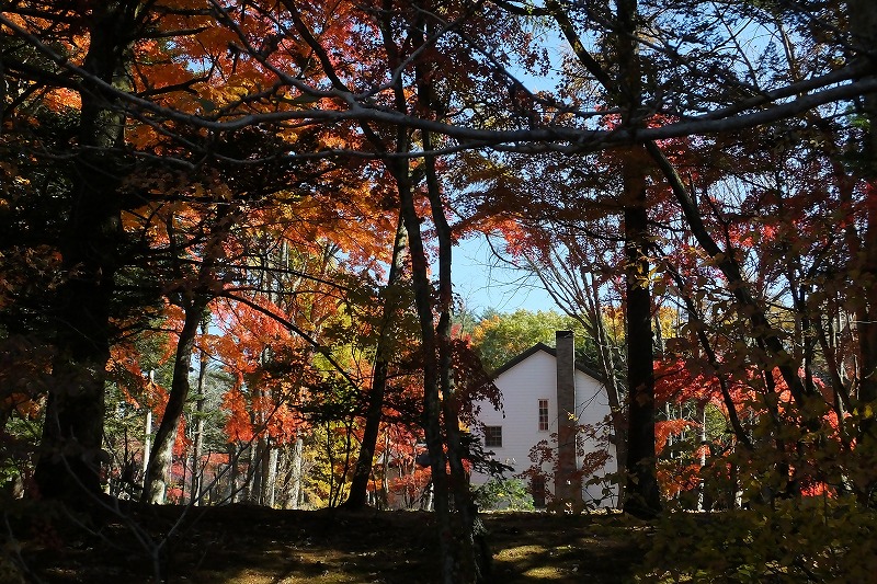 b0236251_14275839.jpg