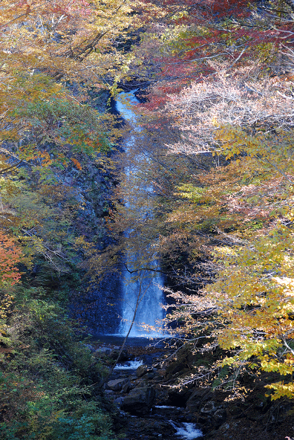 a0001354_2381014.gif