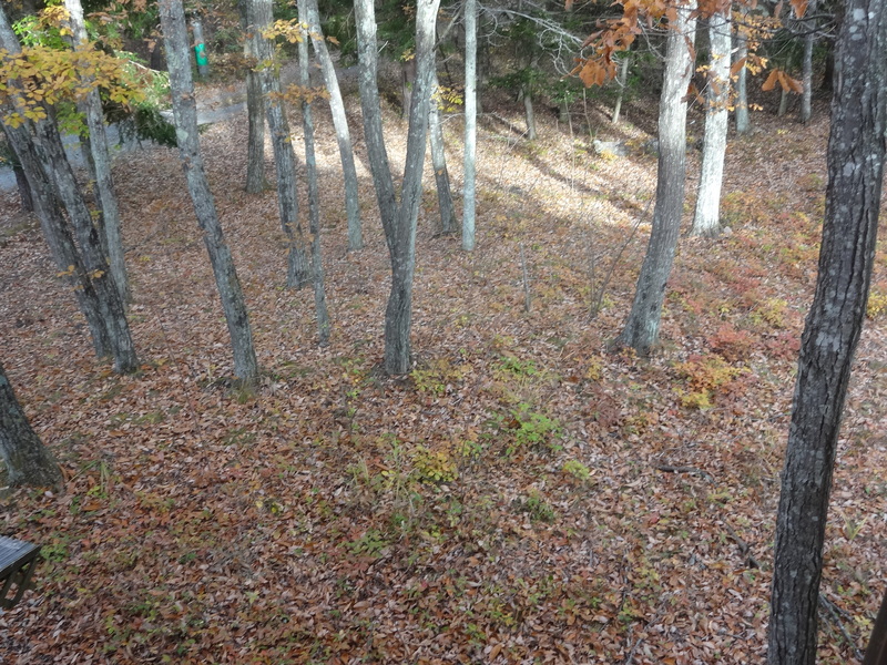 f0198556_11522781.jpg