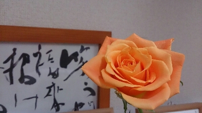 b0178557_20264756.jpg