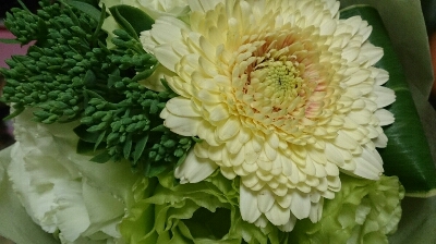 b0178557_2027850.jpg