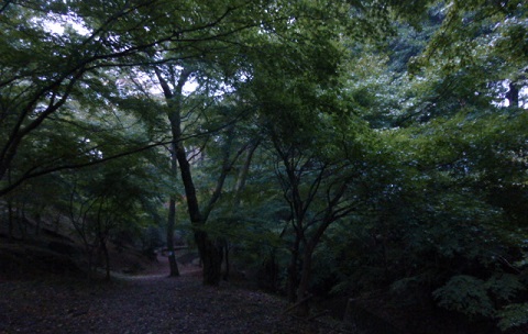 c0083165_15331274.jpg