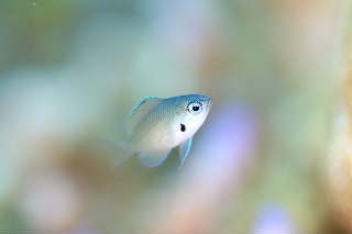 a0155467_1928144.jpg