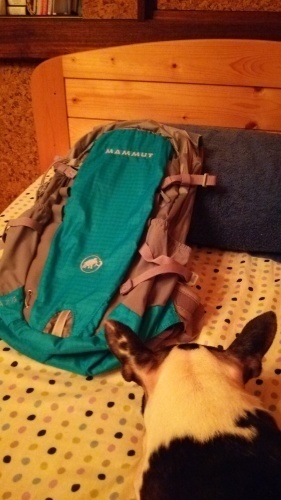 c0144868_22131670.jpg