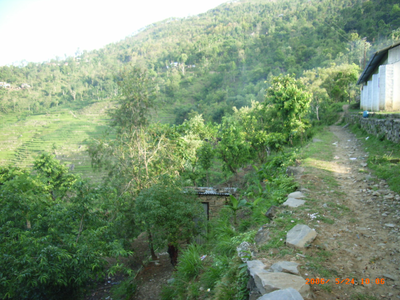 e0155370_20371535.jpg
