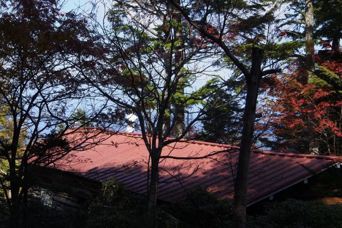 e0307372_21354258.jpg