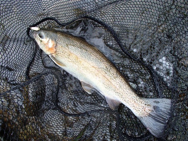 a0093677_2041578.jpg