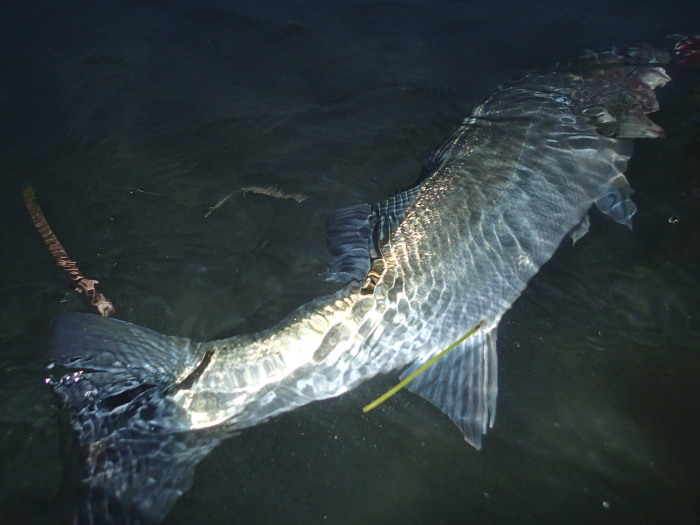 c0197578_175355.jpg