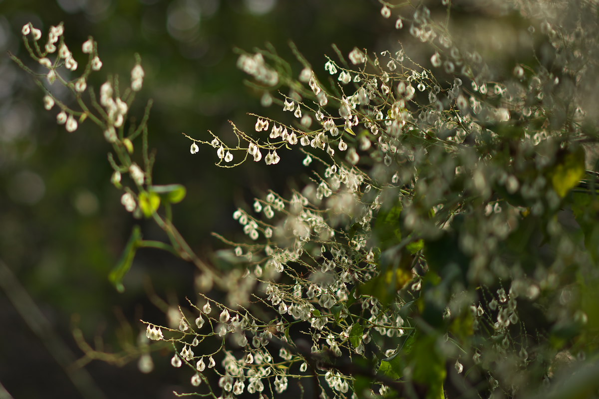 a0083081_14294394.jpg