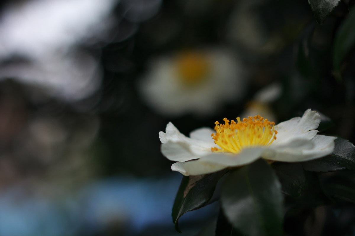 a0083081_142950100.jpg