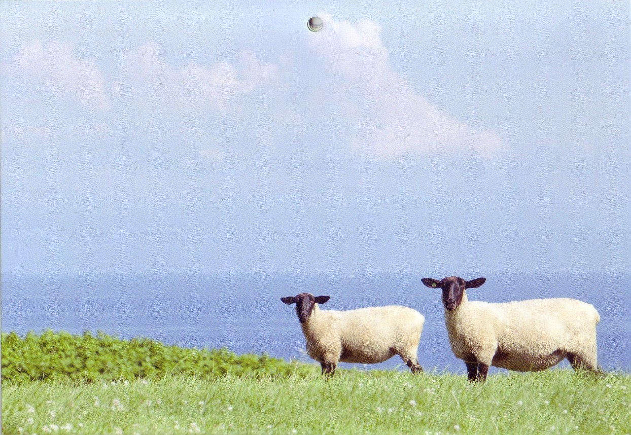 a0034487_20191969.jpg