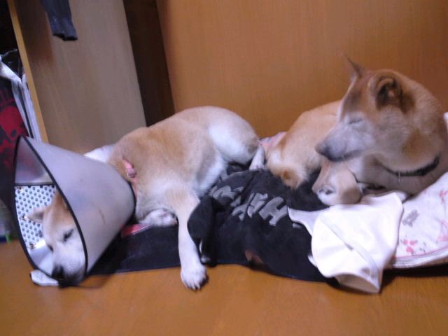 c0123890_19171997.jpg