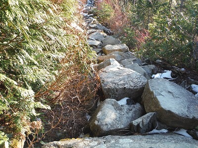 b0326303_22420808.jpg