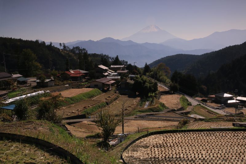 a0188405_18355208.jpg