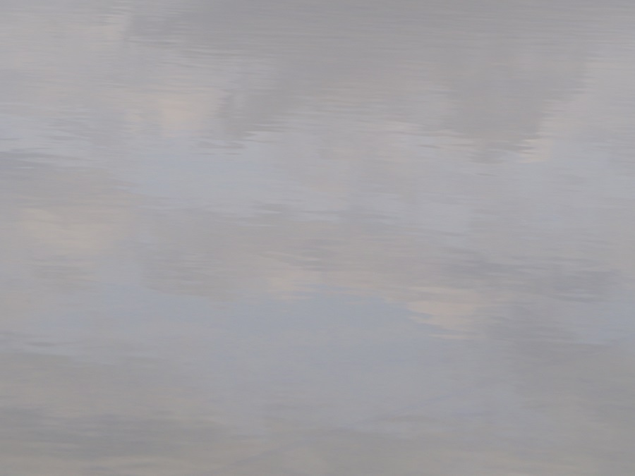 d0001008_20341770.jpg