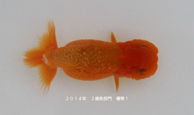 c0162817_194357100.jpg