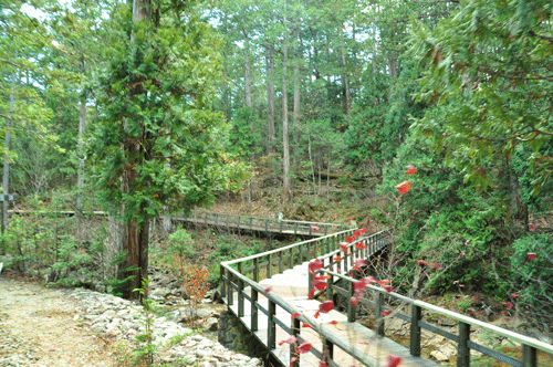 e0312121_1912553.gif