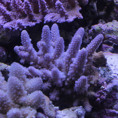 d0221436_214534.jpg