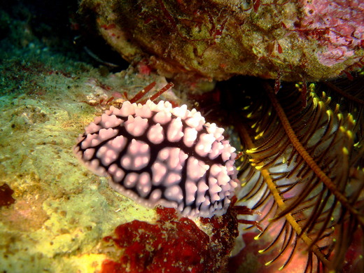 b0236647_15145036.jpg