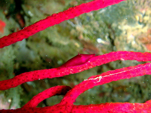 b0236647_1518144.jpg