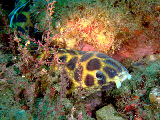 b0236647_1571091.jpg
