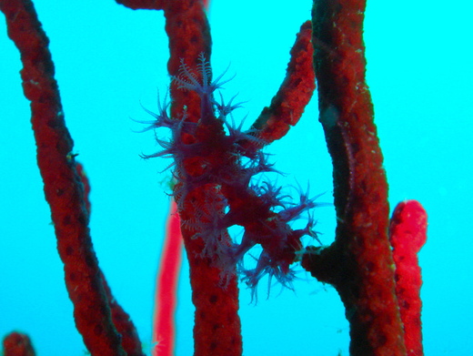 b0236647_1591416.jpg