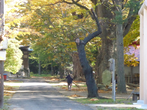 b0238249_20514530.jpg