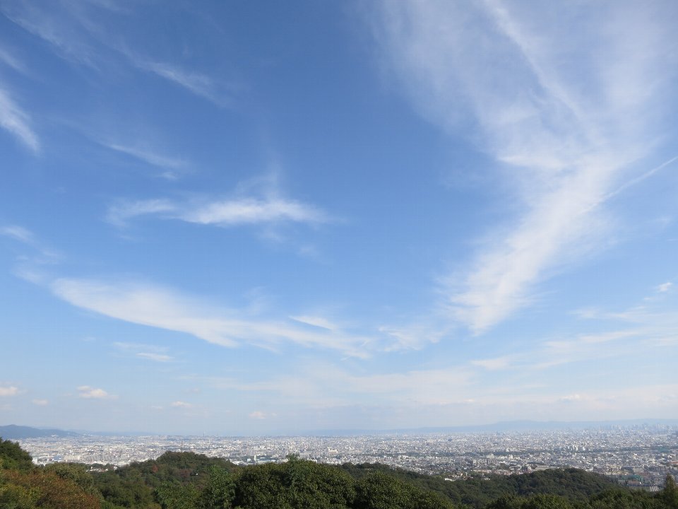 d0048750_9104134.jpg