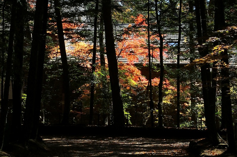 b0236251_1620121.jpg