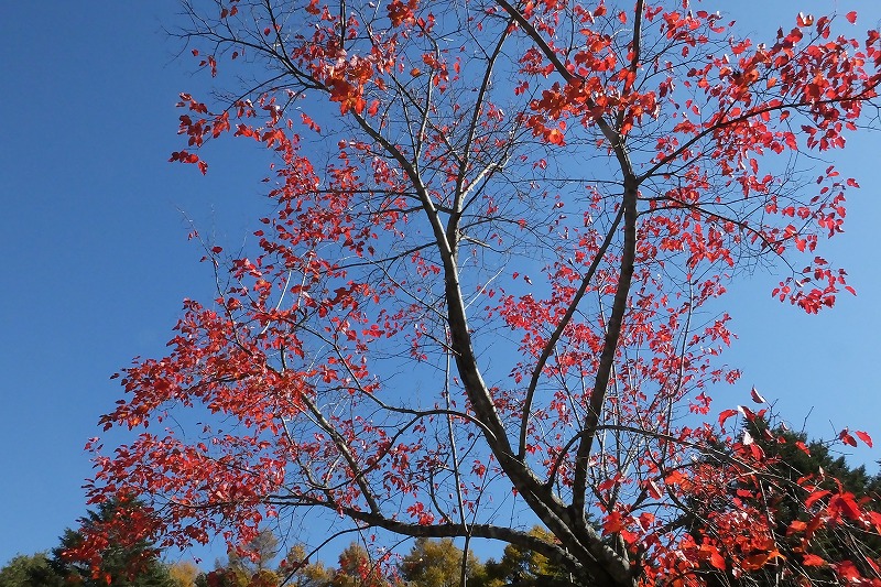 b0236251_16202547.jpg
