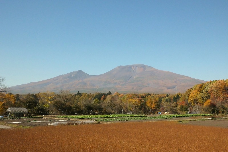 b0236251_16253623.jpg