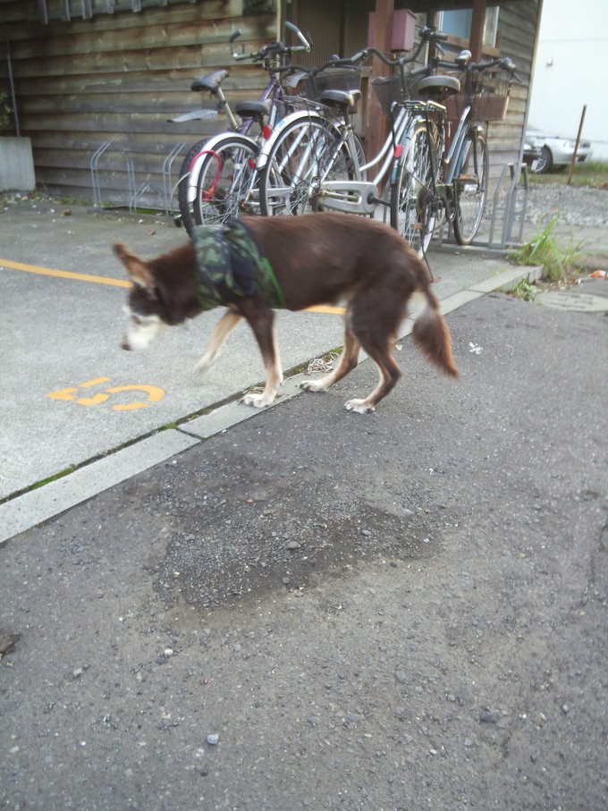 d0006253_2164821.jpg