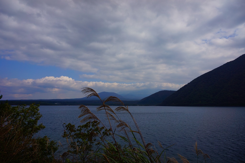 e0223456_902574.jpg