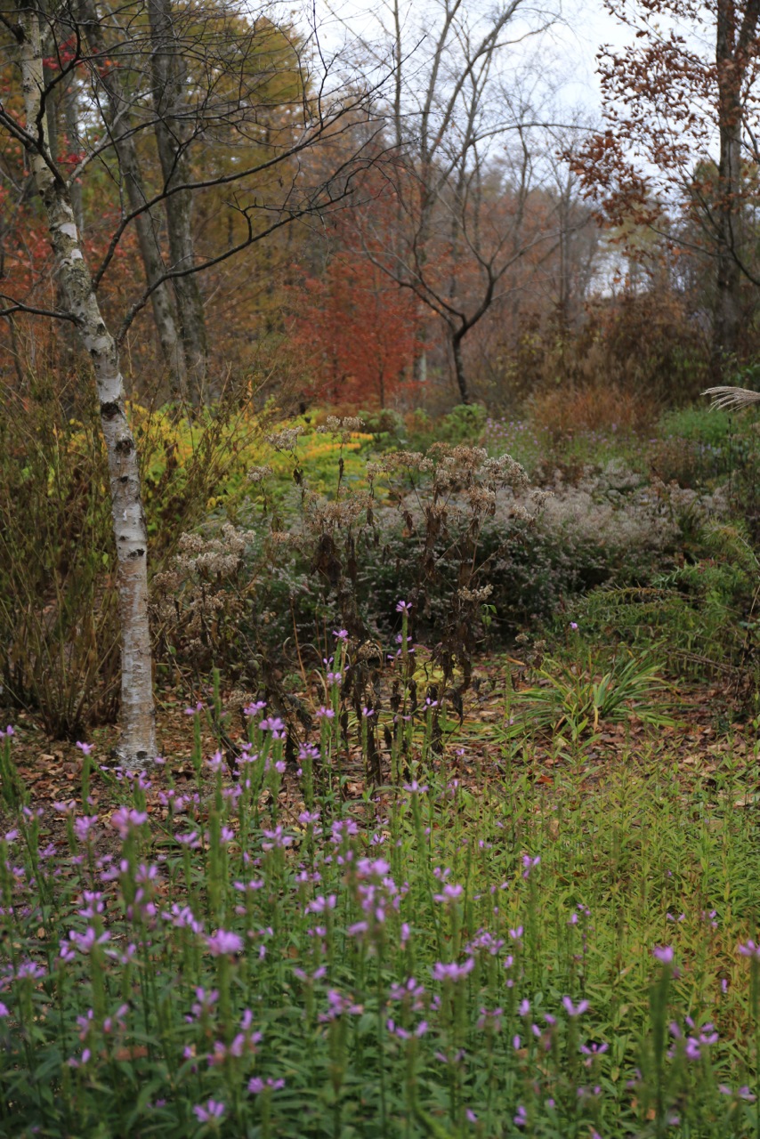 b0168859_2117477.jpg