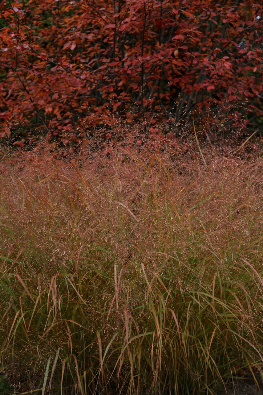 b0168859_21291020.jpg