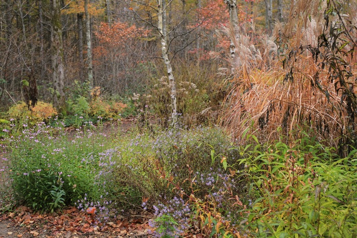 b0168859_21352711.jpg