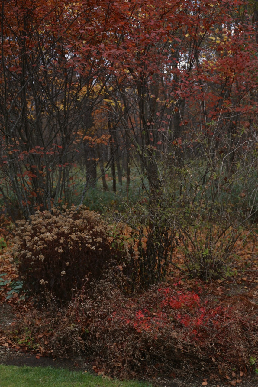 b0168859_21415549.jpg