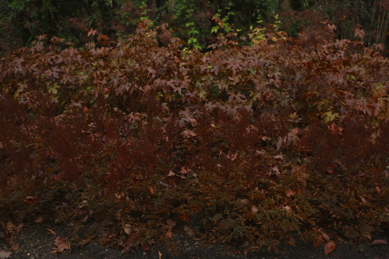 b0168859_21424840.jpg