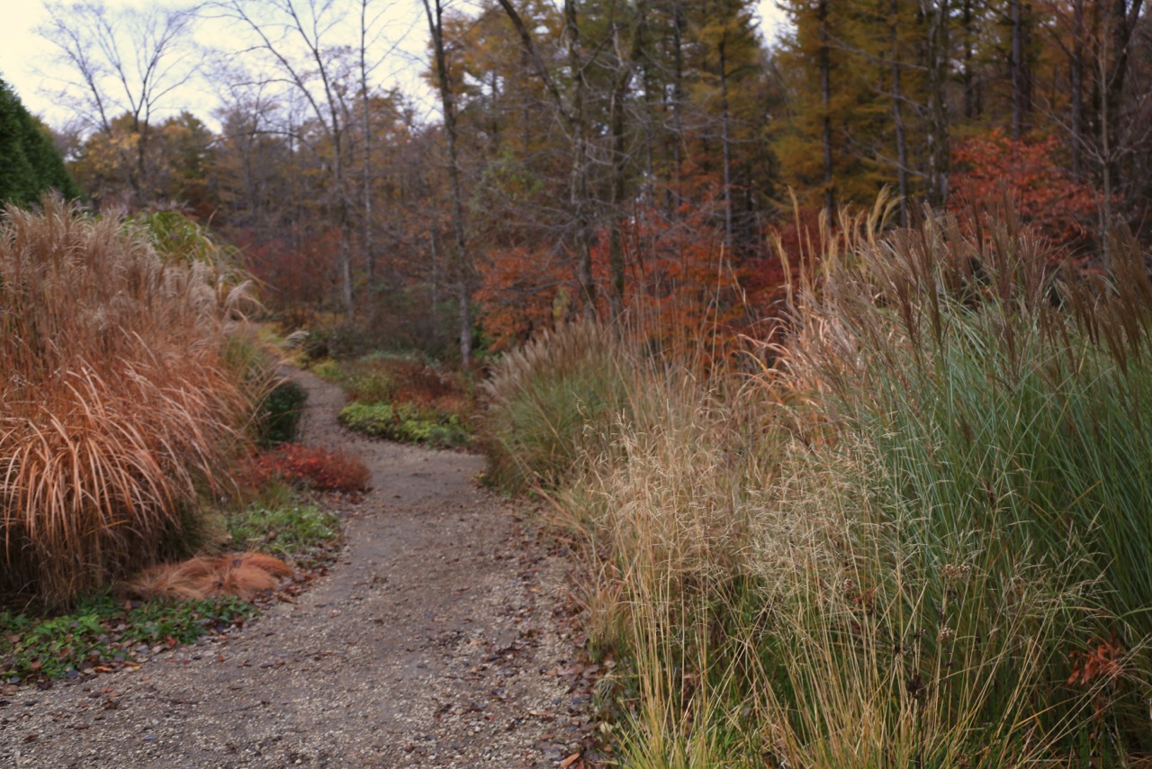 b0168859_21472543.jpg
